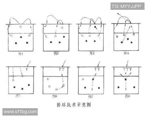 武汉排球队在世界锦标赛中的灵活性表现及其战术分析