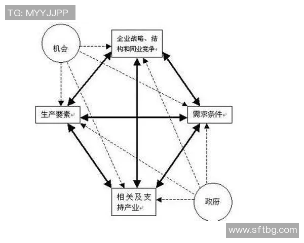 深入分析上海排球队的运营策略与发展模式探讨